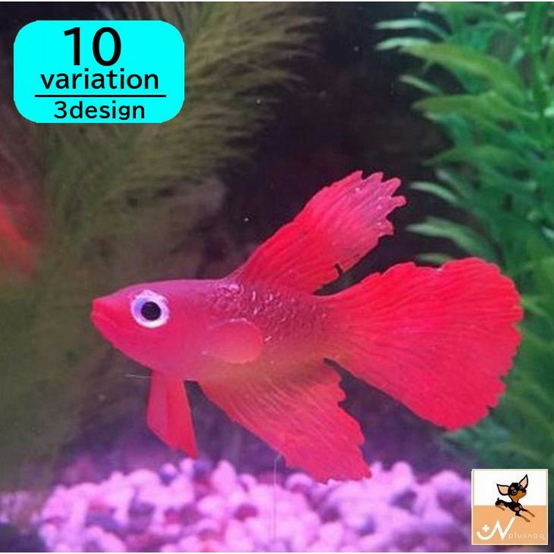 人工ベタ魚 人工金魚 でめきん デメキン カクレクマノミ