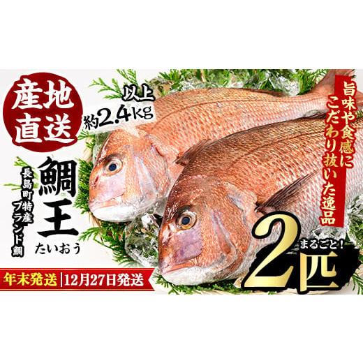 ふるさと納税 鹿児島県 長島町 ＜2023年12月27日発送予定＞長島町特産「鯛王」(2匹セット)jfa-940-1227