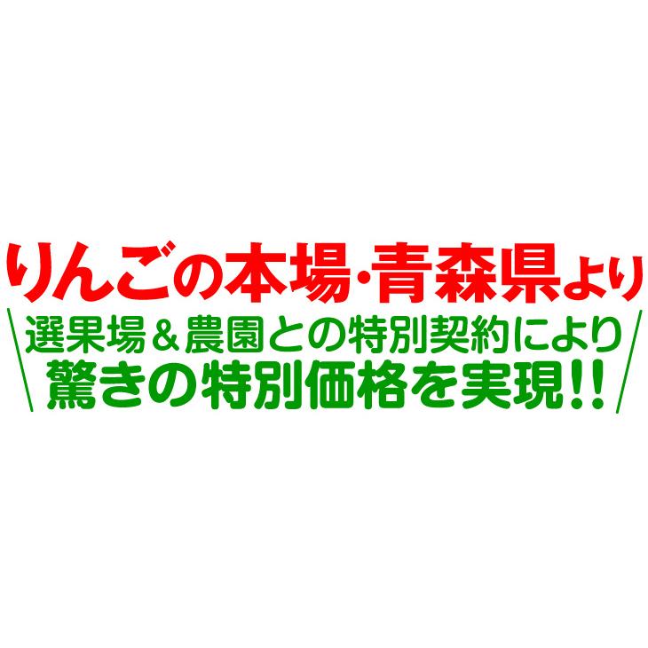 りんご 10kg 大特価 サンふじ 青森産 ご家庭用 送料無料 食品