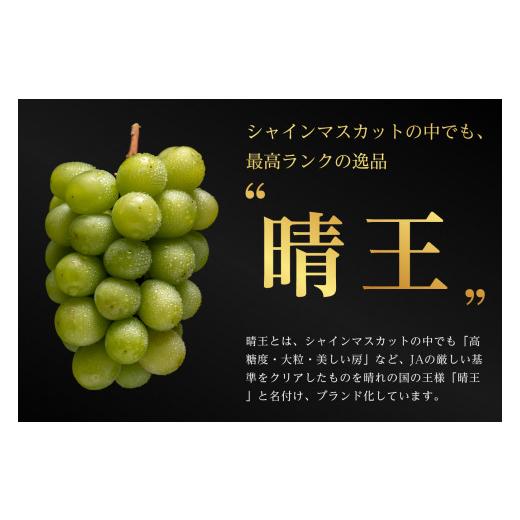 ふるさと納税 岡山県 瀬戸内市 ぶどう 2024年 先行予約 ご家庭用 シャイン マスカット 晴王 優品 2房入り（1房 530g以上 露地栽培） ブドウ 葡萄  岡山県産 国…