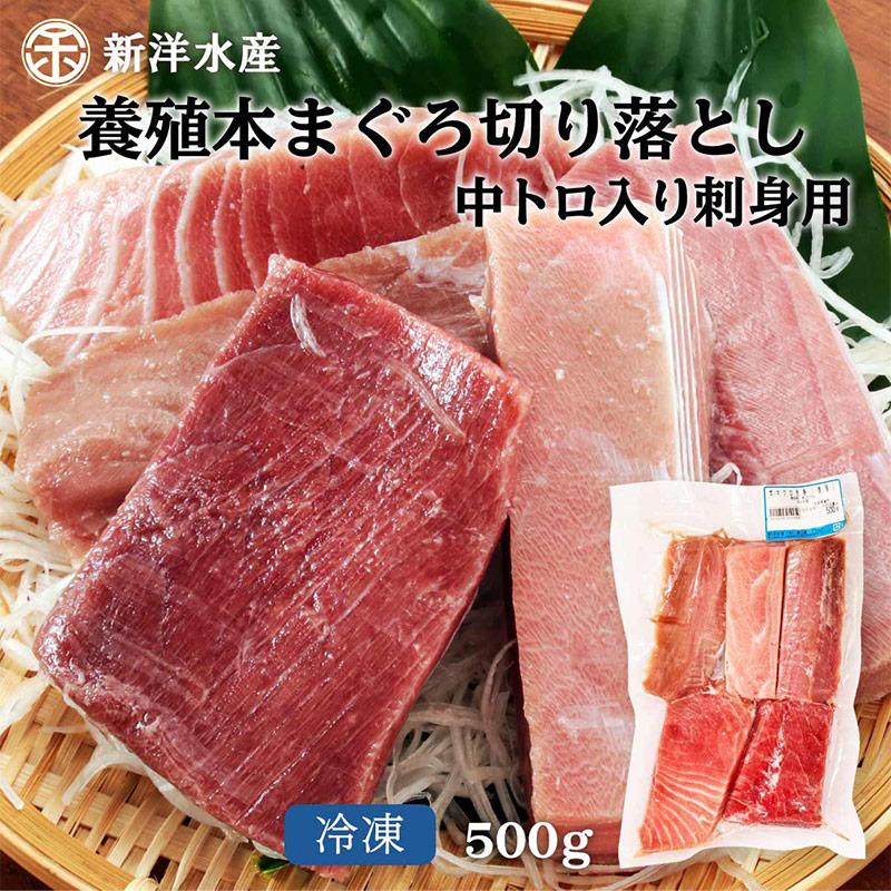 養殖本まぐろ切り落とし中トロ入り（刺身用） 500g