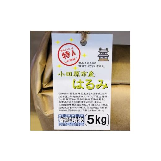 ふるさと納税 神奈川県 小田原市  志村屋米穀店 令和5年産新米小田原市産　はるみ　新米　5kg　＜出荷時期：10月中旬より順次出荷開始＞