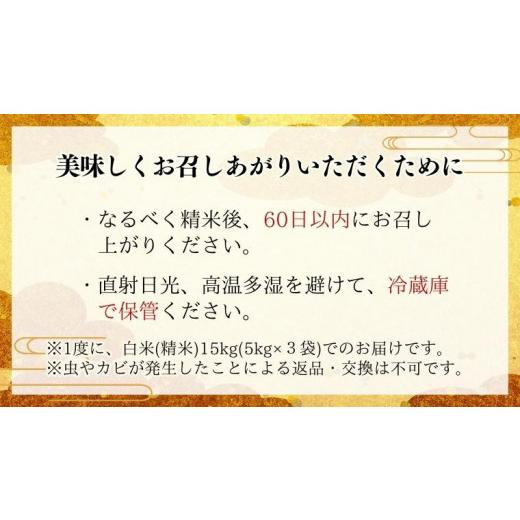 ふるさと納税 茨城県 桜川市 《3ヶ月定期便》  《令和5年産》 新米 茨城県桜川市産こしひかり 15kg（ 5kg × 3袋 ）× 3回 茨城県産 桜川 米 お…