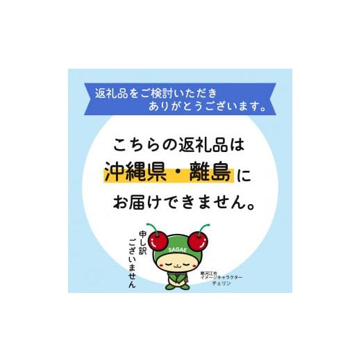 ふるさと納税 山形県 寒河江市 山形の黄桃 3kg 品種おまかせ (8〜16玉) 秀品 山形県産 2024年産 　015-B-MM018