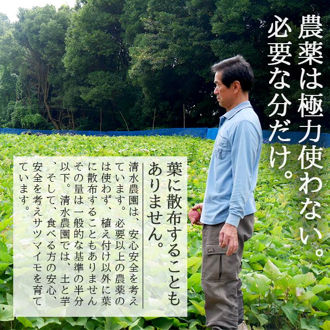 さつまいも 紅はるか 10kg  送料無料 生 土つき 減農薬 低農薬  清水農園 愛媛