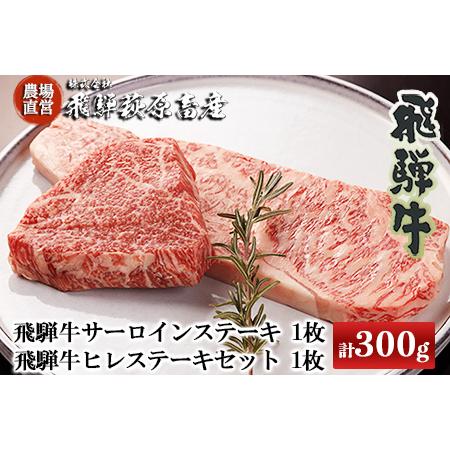 ふるさと納税 2種類の部位を食べ比べ！飛騨牛ステーキセット （サーロイン 200g×1枚・ヒレ 100g×１枚）最高級 国産 牛肉 和牛 ブラン.. 岐阜県下呂市