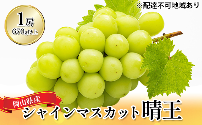 ぶどう 2024年 先行予約 シャイン マスカット 晴王 1房 （1房670g以上） 化粧箱入り マスカット ブドウ 葡萄  岡山県産 国産 フルーツ 果物 ギフト