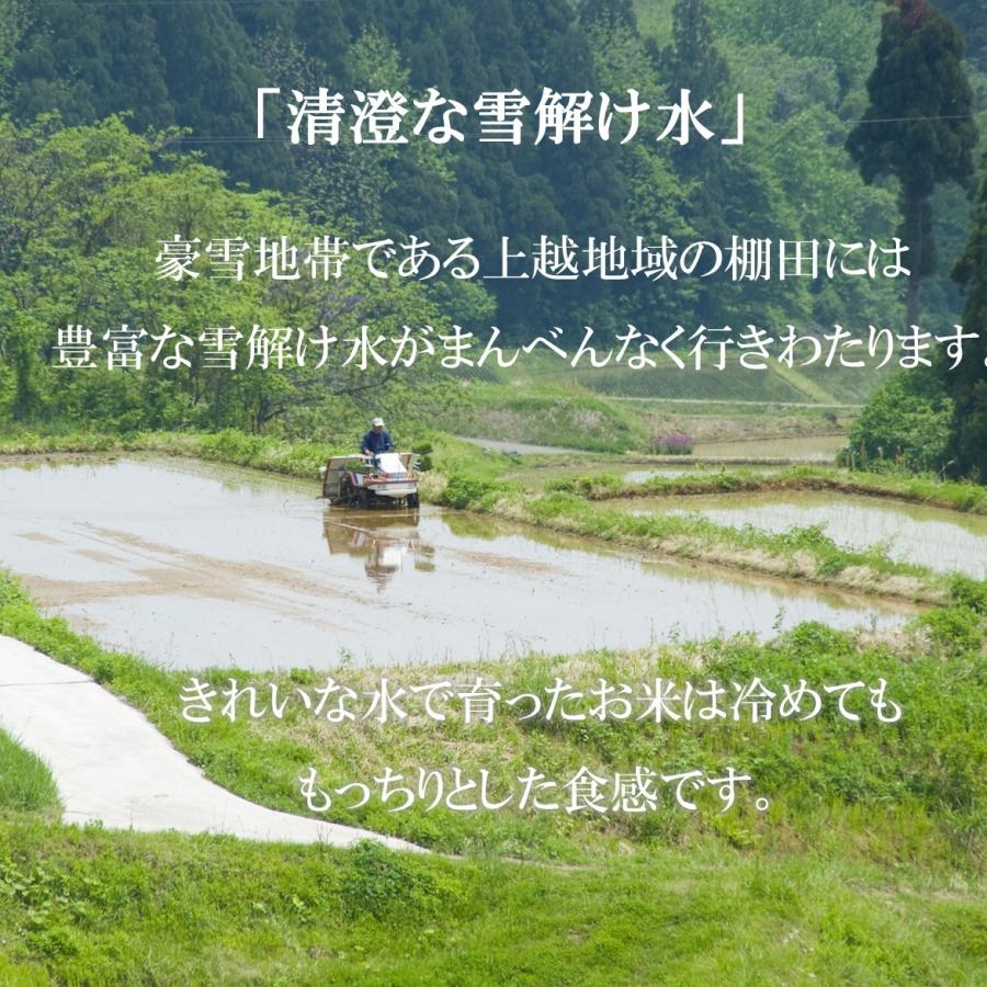 新米 米 お米 5kg 新潟 上越産 こしひかり コシヒカリ 棚田米 本州送料無料 令和5年産