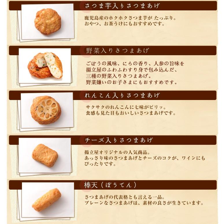 お試し  送料無料 さつま揚げ 揚立屋  ネット限定  鹿児島