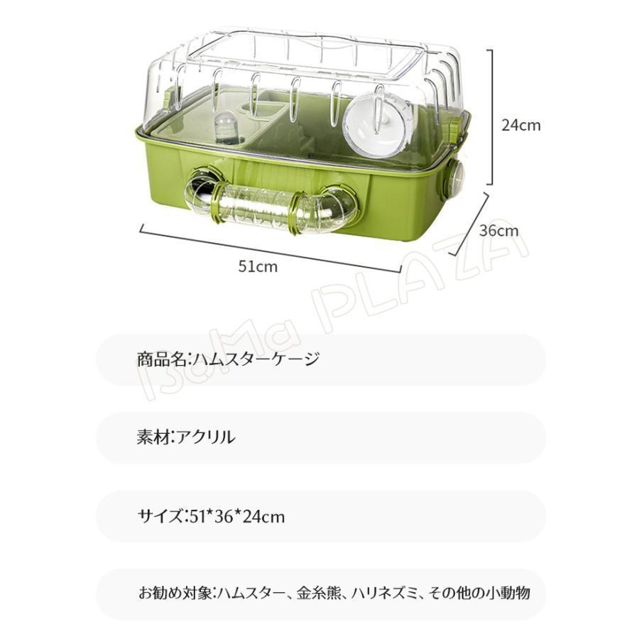 蟻 巣 昆虫 ペット 6 層 19×12.8×22cm 飼育用品 観察 自由研究 夏休み