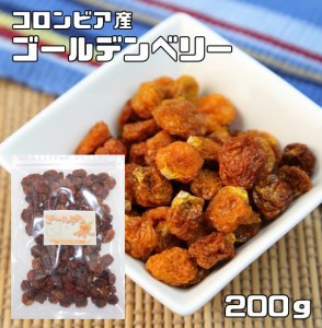 ゴールデンベリー 200ｇ ドライフルーツ 世界美食探究 （メール便）無添加 インカベリー 食用ほおずき スーパーベリー スーパーフード