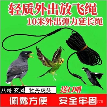 【輕盈彈力繩】鸚鵡鳥用超輕放飛繩牽引延長繩虎皮牡丹玄鳳小太陽和尚遛鳥繩新款