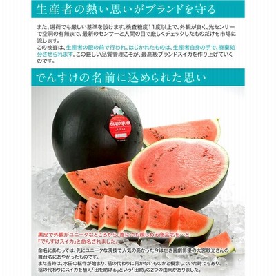 すいかです。 送料無料》北海道当麻町産「でんすけすいか」優品 L〜2L 1玉（6