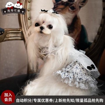 淘淘花瓣寵物衣服春夏裝新款黑玫碎花女仆裝泰迪狗狗公主連衣裙子