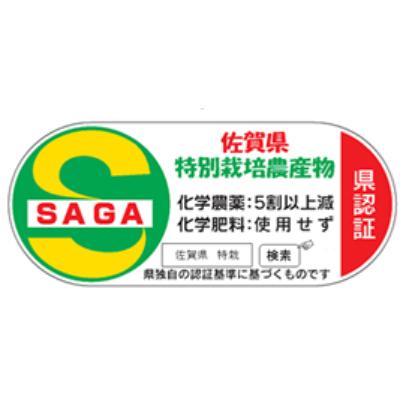 ふるさと納税 小城市 佐賀ブランド米　さがびより白米5kg〔特別栽培米〕全12回