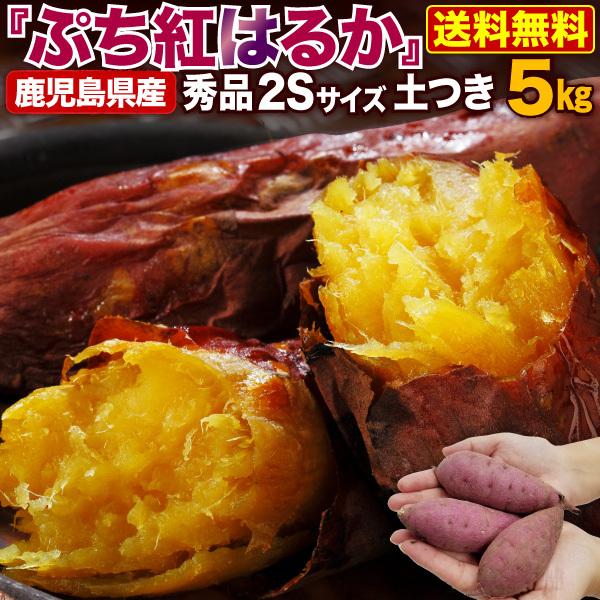 ポイント5倍 鹿児島県産 ぷち紅はるか 5kg サツマイモ 生芋 小さいサイズ  プチ さつまいも 土つき 産地直送 送料無料 S常