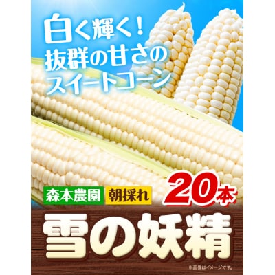 森本農園とうもろこし「雪の妖精」20本セット