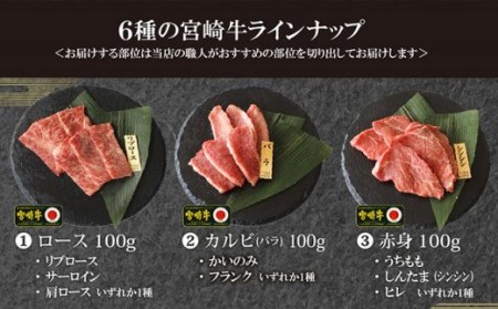 宮崎牛6種盛 焼肉食べ比べセット