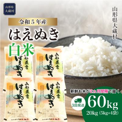 ふるさと納税 大蔵村 令和5年産 はえぬき60kg定期便(20kg×3回)　山形県大蔵村