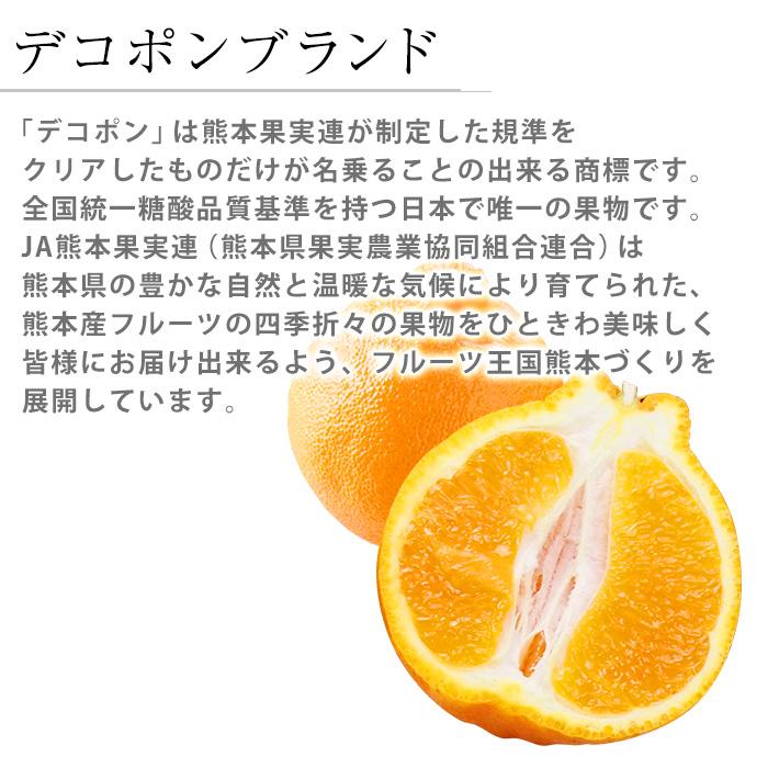 みかん 熊本県産 デコポン 約3kg 8〜12玉 ハウス栽培