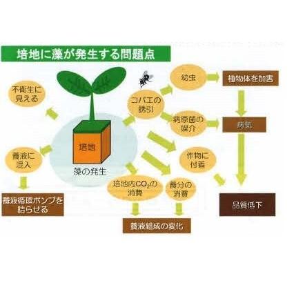 プロご用達、やさいはな栽培マットクリーン(防藻処理品)