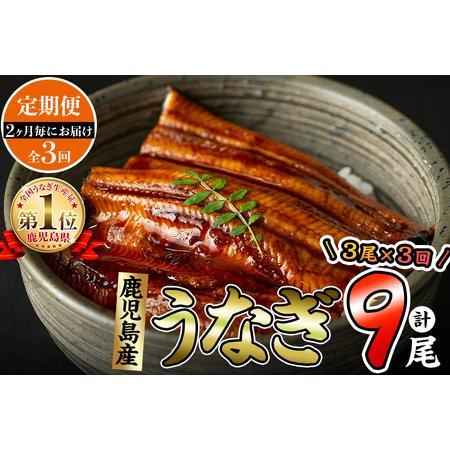 ふるさと納税 2ヵ月に1回お届け！くすだ屋の極上うなぎ(160g×3尾)×3回＜計9尾・1440g以上＞ t007-007 鹿児島県志布志市