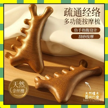 ✨台灣現✨多功能按摩梳 舒緩疲勞 保護頭皮 四合一按摩 金絲檀按摩梳 養生按摩梳 頭皮按摩 按摩梳子 臉部按摩 經絡梳