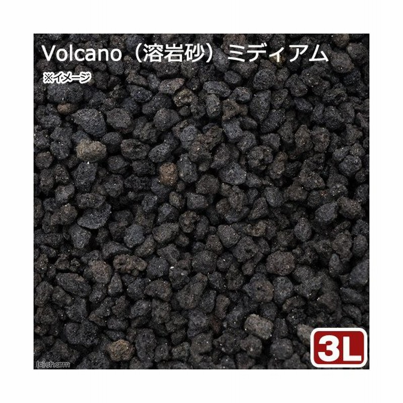 ｎｏ １１６ ｖｏｌｃａｎｏ 溶岩砂 ミディアム ３リットル ３０ｃｍ水槽用 お一人様６点限り 通販 Lineポイント最大get Lineショッピング