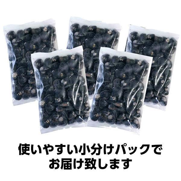 しじみ 十三湖 青森県産 中粒 冷凍 しじみ貝 200g×5パック（1kg入り） お中元 御中元 2023