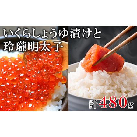 ふるさと納税 北海道産いくら240g 玲瓏明太子240g 丸鮮道場水産 小分け 食べ切り 食べきり 北海道鹿部町