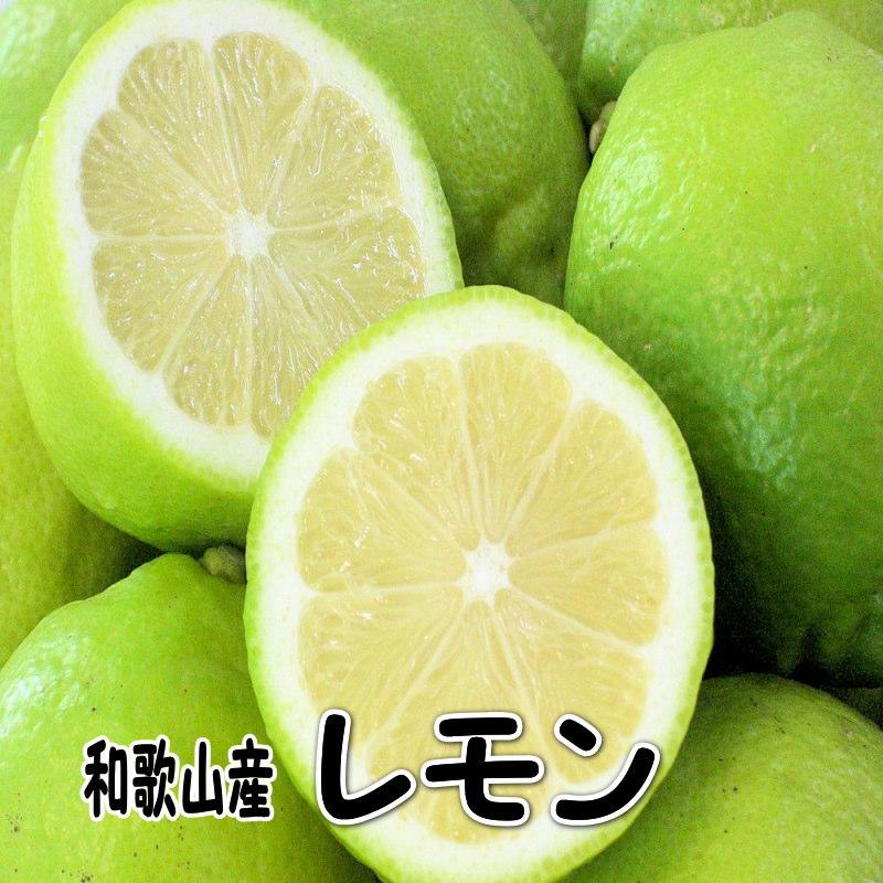 国産（和歌山県産）レモン グリーンレモン 3kg 訳あり ノーワックス 送料無料