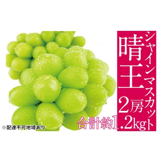 ふるさと納税 岡山県 瀬戸内市 ぶどう 2024年 先行予約 シャイン マスカット 晴王 2房（合計約1.2kg） ブドウ 葡萄  岡山県産 国産 フルーツ 果物 ギフト [No.…