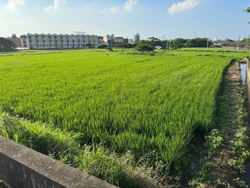 ✳️觀音金湖段-大賠售-農地872坪✳️｜桃園市觀音區金湖段