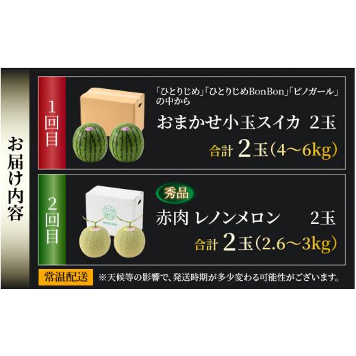 ふるさと納税 福井県 あわら市 《定期便全2回》スイカとメロン大好きな人集まれ！（小玉スイカ・赤肉レノンメロン）計4玉 農家直送 秀品 お届け！…