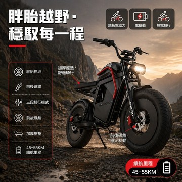 🔥臺灣保固🔥黑武士HIMOTO電動自行車 寬輪胖胎助力腳踏車 電動腳踏車 通勤助力電單車 日常代步電動車 電單車