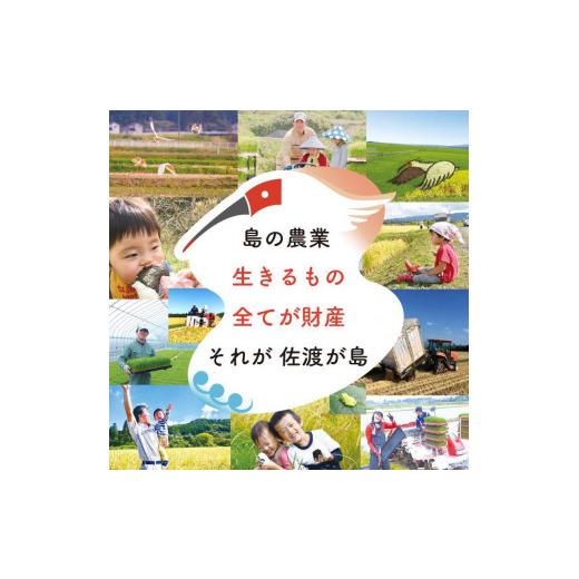 ふるさと納税 新潟県 佐渡市 特別栽培米 佐渡島産ミルキークイーン 玄米10Kg(5Kg×2袋)