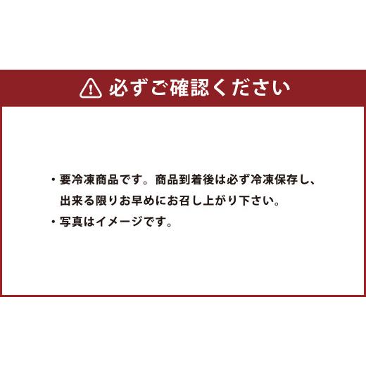 ふるさと納税 熊本県 菊陽町 フジチク 熊本特産！ 希少部位 を含む 贅沢 馬刺し セット 合計約1.05kg 詰合せ 熊本県 特産品 馬肉