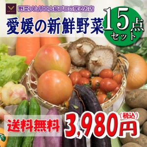 野菜セット 野菜 野菜詰め合わせ たっぷり 父の日 15品 送料無料 クール便