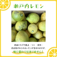 大崎下島産 栽培期間中農薬不使用 瀬戸内レモン 10kg