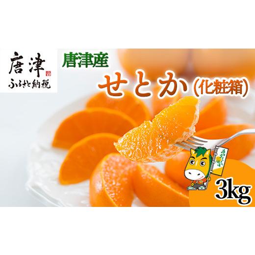 ふるさと納税 佐賀県 唐津市 『予約受付』唐津産 せとか 3kg 化粧箱 みかん ミカン オレンジ フルーツ 果物 ギフト