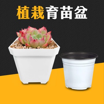 台灣現貨 植栽 小方盆 育苗盆 四方盆 盆器 透氣盆 方盆 栽培盆 花盆 多肉盆栽 多肉盒 仙人掌花盆 透氣盆 艾瑪