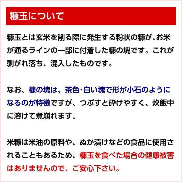 新米 令和5年産 福島県 中通産 ひとめぼれ 精白米 30kg (5kg×6袋) 小分け JGAP