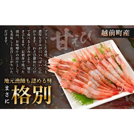 ふるさと納税  お刺身 セット 甘海老 250g×1P ＆ お刺身 サーモン 100g×1P 【福井県 冷凍 小分け 刺身 アトランティックサーモン 鮭 .. 福井県越前町