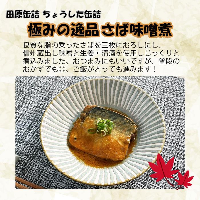 ちょうした缶詰 田原缶詰 ご飯のお供セット  ５缶 新発売    のし・ギフト・サンプル各種対応不可