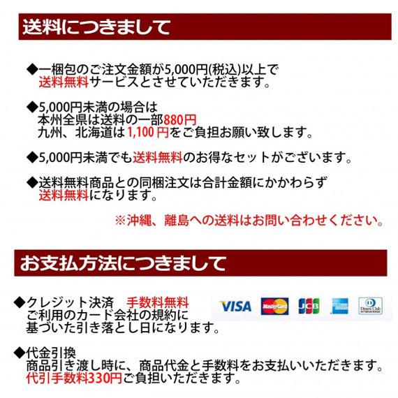 栃木県産黒毛和牛の極上ピザ　宇都宮で一番濃厚なミートソース使用　とろーりモッツァレラ