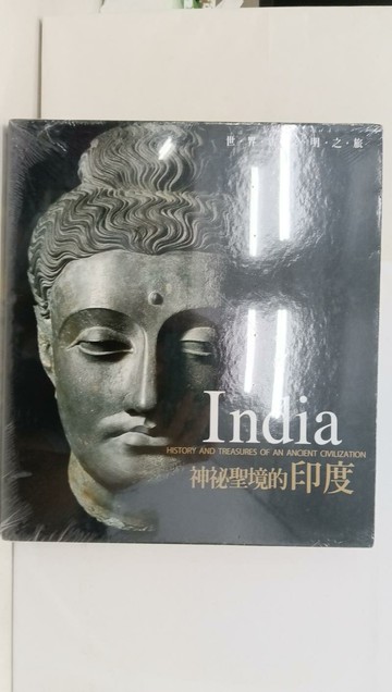 【書寶二手書T1／地理_AYC】神祕聖境的印度_Maria Angelillo