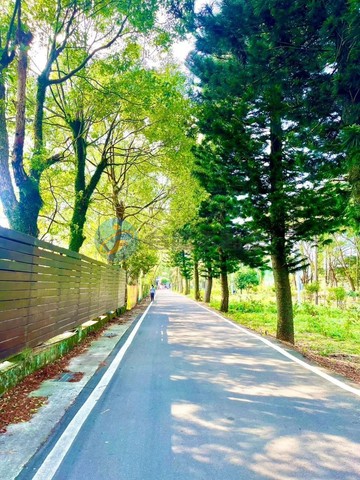 紅花綠樹小農地｜桃園市龍潭區三林段