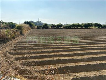 臨北外環道農地雙面路｜台南市新化區北勢