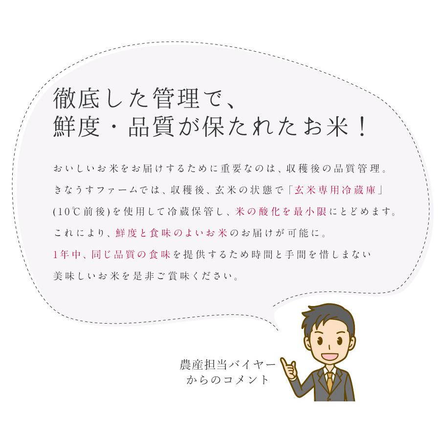 本日クーポンで10％OFF 特別栽培米 玄米 30kg ななつぼし 新米 令和5年産 北海道産 お米 農家直送 特A 減農薬 2023年産 送料無料