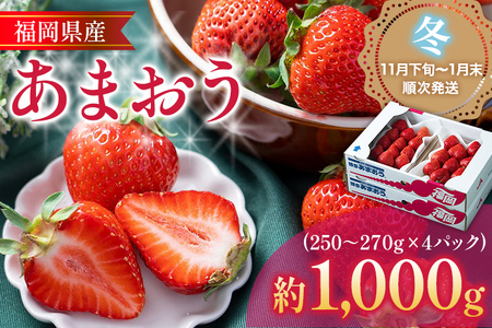 福岡産あまおう 4パック 合計約1000g~1080g 約1kg （1パックあたり約250g~約270g） いちご 苺 果物 フルーツ 九州産 福岡県産 冷蔵 送料無料